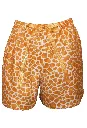 Colorful Giraffe Boxer - Gold (2021_10_09 23_25_59 UTC).webp