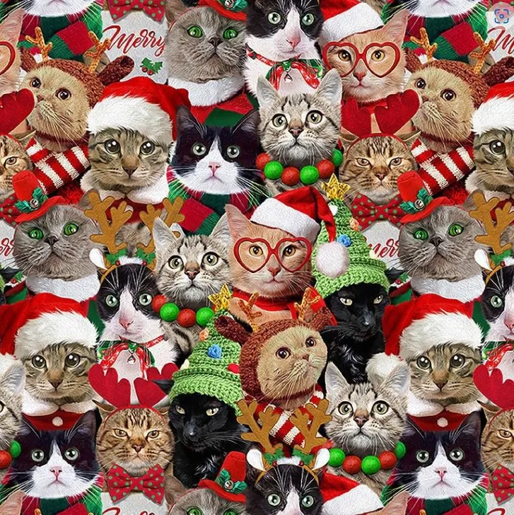 Hoilday Cats - Copy.webp