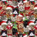 Hoilday Cats - Copy.webp