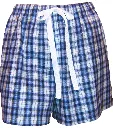 Blue Plaid Boxer.webp